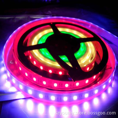 5M 300 LED 1812 Dream Color 5050 RGB LED Strip, 60 LEDs/m SMD Light, Waterproof